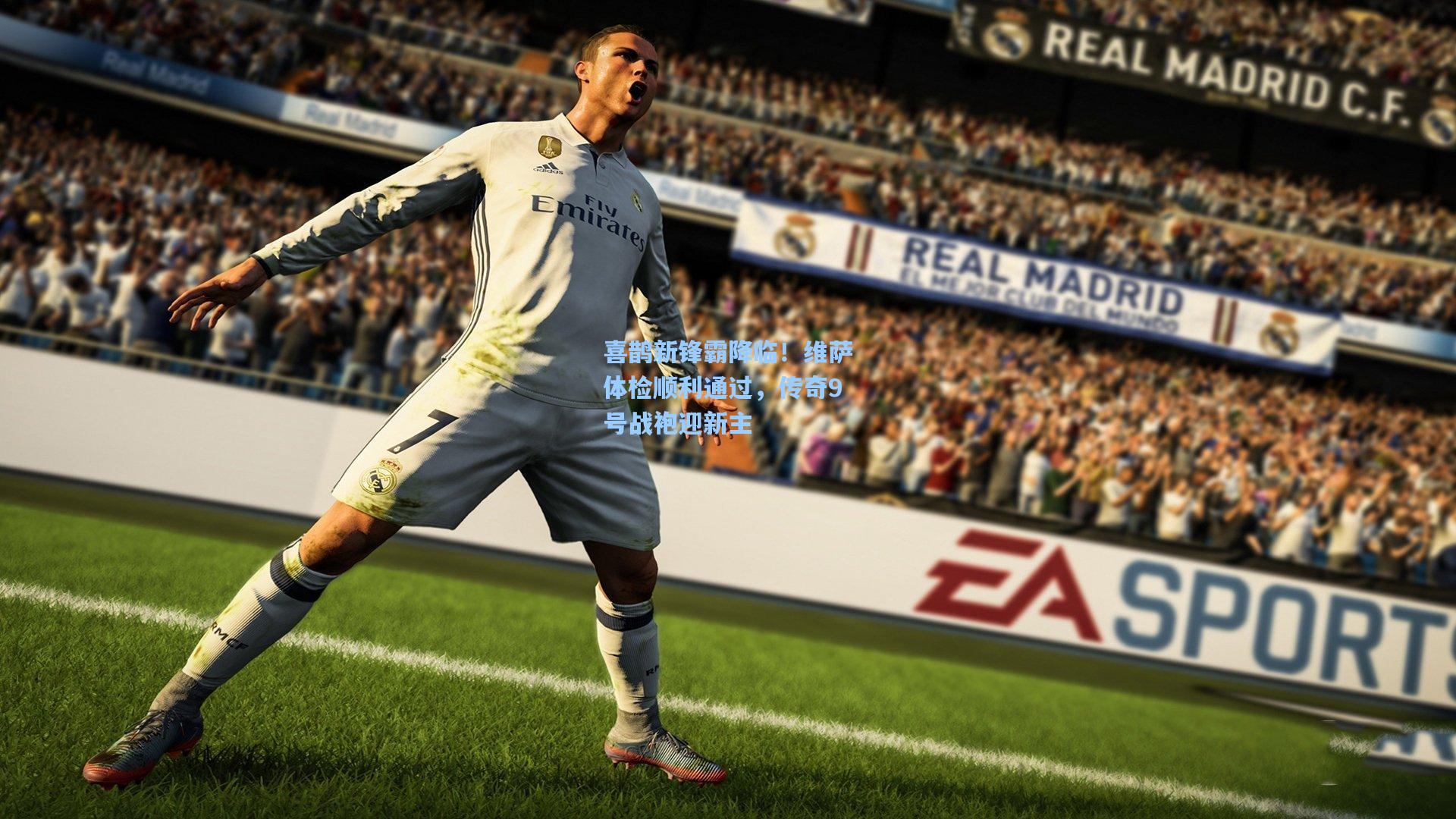 喜鹊新锋霸降临！维萨体检顺利通过，传奇9号战袍迎新主